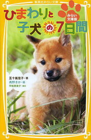 楽天市場 ひまわり 犬 絵の通販