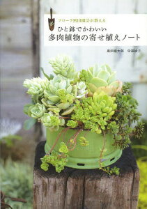 多肉植物 寄せ植え かわいいの人気商品 通販 価格比較 価格 Com