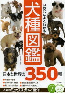 いちばんよくわかる犬種図鑑 日本と世界の350種[本/雑誌] (コツがわかる本) (単行本・ムック) / 奥田香代…