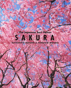 SAKURA The Japanese Soul Flower[{/G] / 썎/ G/ kMichaelBrase/l