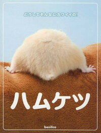 Room 検索結果