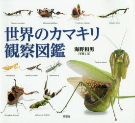 楽天市場 昆虫 カマキリの通販 楽天市場 昆虫 カマキリの通販