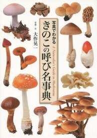 楽天市場 マツタケモドキの通販