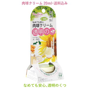 y݁zLp PA20ml PA Y 쌧Y VR ybc[g [