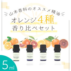 20`27̓|Cgő10{!ЌII IW  Zbg XC[gIW E ubhIW E }_ iCG[Ebhj 5ml × 4{ Zbg| A} GbZ