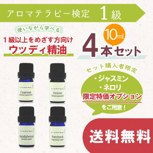 4`11̓|Cgő47{! A}es[ y 1 z 1ȏ߂ gȂwׂ EbfB 10ml 4Zbg | g邽Ղ10mlrI AEAJ A} Zbg 