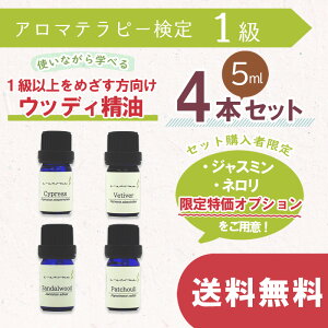 4`11̓|Cgő47{! A}es[ y 1 z 1ȏ߂ gȂwׂ EbfB 5ml 4Zbg | AEAJ {A}\K F萸 A} 