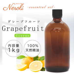 4~11͊yVX[p[SALE! O[vt[c  1kg i 1000g j| A} A}IC  GbZVIC AEAJ\KF萸 e Ɩp