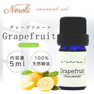 O[vt[c  5ml | A} A}IC  GbZVIC AEAJ\KF萸