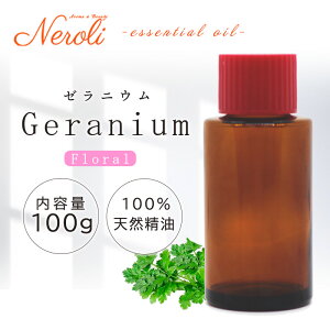 ő50OFF!匈ZSALE! [jE  100g | A} A}IC  GbZVIC AEAJ\KF萸 e Ɩp