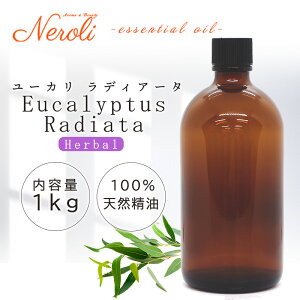 20`27̓|Cgő10{! [J fBA[^ 1kgi1000gj  | [JIC A} A}IC  GbZVIC AEAJ\KF萸 e Ɩp