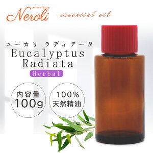 [J fBA[^ 100g | [JIC A} A}IC  GbZVIC AEAJ\KF萸 e Ɩp