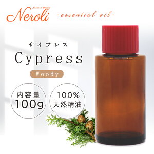 TCvX  100g | A} A}IC  GbZVIC AEAJ\KF萸 e Ɩp