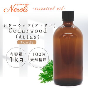 V_[Ebh i AgX j  1kg i 1000g j| A} A}IC  GbZVIC AEAJ\KF萸 e Ɩp