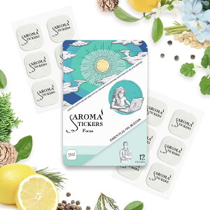 }XNɓ\A} Aromastickers i A}XeBbJ[Y j k Focus i tH[JX j l12| }XNɓ\A}V[ }XNV[ tOXV[ }XN ɂ΍