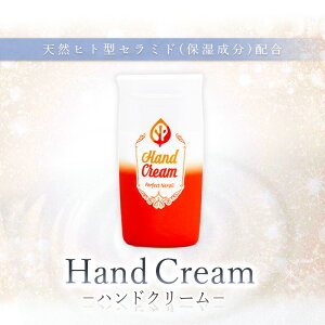 ő50OFF!匈ZSALE! VR qg^Z~h z ێ nhN[ p[tFNgli30gj| 邨 Ƃ r  ێ GCWOPA n c v[g Mtg 