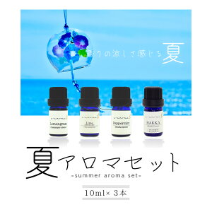 ő50OFF!匈ZSALE!ŗ ăA}Zbgk OX / C(fBXeBh) / yp[~gora픖 l| Zbg