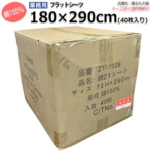 tbgV[cƖp 100% 180x290cm _u zCg  OIY a  ze  h yPiF[֑zyP[X40Fz