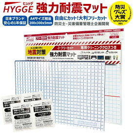 【防災グッズ大賞2026 優秀賞】ヒュッゲ 強力耐震マット フリーカット 300×200×5mm 耐荷重900kg 耐震ジェル 震度7クラス対応 家具 家電 転倒防止 地震対策 クリア クリーニングクロス付 防災 日本国内企画品【レビューで防災セットプレゼント！】[ネセクト]