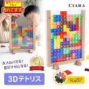【レビュ—でおまけ付き】 3Dテトリス 知育パズル おもちゃ パズル 知育玩具 ブロック フレーム 子供 大人 3歳 4歳 5…