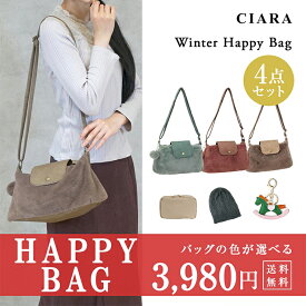福袋 2026 【バッグの色が選べて3980円】 レディース ハッピーバッグ バッグ 4点セット ショルダーバッグ 選べる ポーチ バッグチャーム 雑貨 中身が見える福袋 ブランド 予約 おしゃれ 可愛い 大人 コスメポーチ 化粧ポーチ 旅行 トラベル プレゼント td 冬 バレンタイン