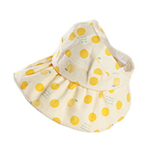 yő500~ItN[|z Xq LbY St 悯 q  H~ S R UVJbg bV nbg xr[ ̎q 5C w ۈ牀 50Z` Εt j̎q ToCU[  ct