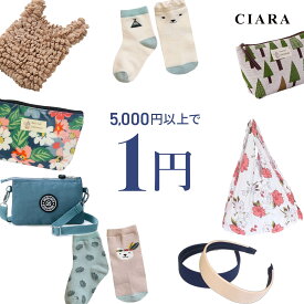【5000円以上のご購入で 1円 プレゼント】 おまけ ギフト ポッキリ ポーチ コスメポーチ 小物入れ 靴下 ソックス エコバッグ アクセサリー サコッシュ おしゃれ キッズ 子供 子ども 赤ちゃん ママ 雑貨 レディース 可愛い 冬