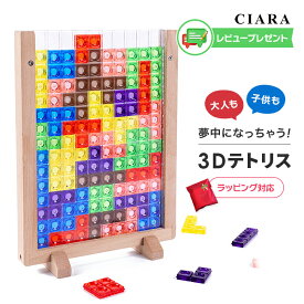 【180日保証サービス付】 知育パズル おもちゃ 3Dテトリス パズル 知育玩具 フレーム 子供 大人 3歳 4歳 5歳 小学生 カラフル テトリス 知育おもちゃ 脳トレ キッズ 子ども こども 子供会 景品 誕生日 プレゼント ギフト nk 冬