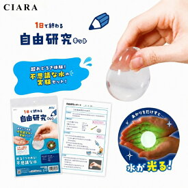 【レビュー保証30日延長】 自由研究キット 実験キット つかめる水 光る アーテック 知育玩具 おもちゃ 夏休み 高学年 小学校 理科 子供 小学生 自由研究 夏休み 工作 手作り キット 科学 実験 男の子 女の子 誕生日 クリスマス プレゼント ギフト 夏