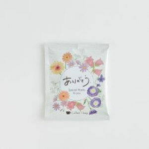 y߁z g _[W hbvR[q[ R[q[ hbv   eB[ v[g hbvpbN   ݔ v`Ԃ NX}X Mtg 500~ȉ tdm ~