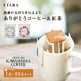 【300円OFFクーポン】 ドリップコーヒー 紅茶 コーヒー乃川島 KAWASHIMA COFFEE コーヒー ドリップ 珈琲 ダージリン お茶 ティー 1000円 プレゼント おしゃれ ドリップパック 個包装 お試し 飲み比べ プチお返し ギフト 退職 お祝い プチギフト 500円以下 tdm 春 母の日