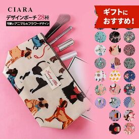 【本日 300円クーポン】 化粧ポーチ 持ち歩き ポーチ 小物入れ 大容量 持ち運び 機能的 コンパクト 小さめ 大きめ 自立 ブランド コスメポーチ 洗面用具 トラベルポーチ 洗面用具 可愛い コスメ レディース 誕生日 tdm 冬 1000円 プレゼント おしゃれ ギフト バレンタイン