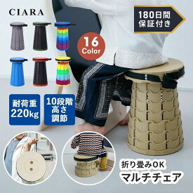 【180日保証サービス付】 椅子 折り畳み 折りたたみ椅子 軽量コンパクト 軽量 コンパクト 持ち運び 伸縮 イス キャンプ 旅行 携帯 高さ調整 野外 アウトドアス ツール ゴルフ 踏み台 野球観戦 簡易イス プレゼント ギフト td 春