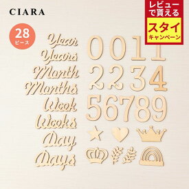 【レビューでスタイもらえる】 レターバナー 木製 月齢 フォト グッズ 百日祝い 誕生日 マンスリー ハッピーバースデー 100日 赤ちゃん 1か月 写真 記念 グッズ ベビー 撮影 100days ハーフバースデー インテリア セット 英語 数字 文字 プレゼント ギフト tdm 冬 クリスマス