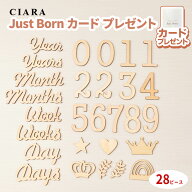 【レビューでスタイもらえる】 レターバナー ベビー 木製 赤ちゃん 月齢フォト グッズ カード 木 just bo…