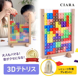 【店内全品5%OFFクーポン】 3Dテトリス 知育パズル おもちゃ パズル 知育玩具 ブロック フレーム 子供 大人 3歳 4歳 5歳 小学生 カラフル テトリス 知育おもちゃ 脳トレ キッズ 子ども 子供会 誕生日 プレゼント ギフト 積み木 アクリル 夏