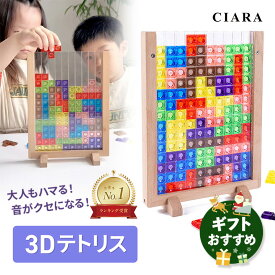 【レビュ—プレゼントおまけ付き】 3Dテトリス 知育パズル おもちゃ パズル 知育玩具 ブロック フレーム 子供 大人 3歳 4歳 5歳 小学生 カラフル テトリス 知育おもちゃ 脳トレ キッズ 子ども 子供会 景品 誕生日 プレゼント ギフト tdm 冬 積み木 アクリル クリスマス