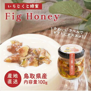 ݂͂  100g×1 nj[Ђ Mtg C`WN̖IЂ  n`~c ݂͂Ђ v[g  (kCEȊO)