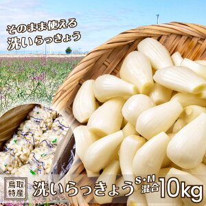 �y5�����{�����z �� �k�����u������傤 10kg S M �����T�C�Y ��������傤 �炭���n ���� �k�h�� �k�� ���u �V�N �{ ���Y ���������i�k�C���E����������j