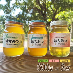 yX[p[SALE10OFFz  ݂͂ 600g × 3r Zbg S g` AJVA Y M Y H VR  I n`~c  Mtg nY҉ ikCE