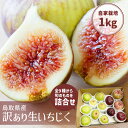 予約 【9月上旬出荷】いちじく 詰合せ 訳あり 1kg 多品種栽培 旬 生 イチジク 国産 自家栽培 フルーツ お取り寄せ 鳥…