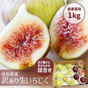  l 󂠂 1kg i͔| {  C`WN Y ƍ͔| t[c  挧Y Y VN (kCE)