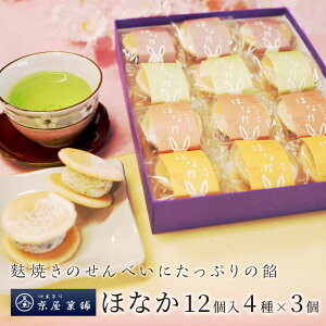 aَq قȂ Œ Ȃ 12 nĂׂ ikCEj