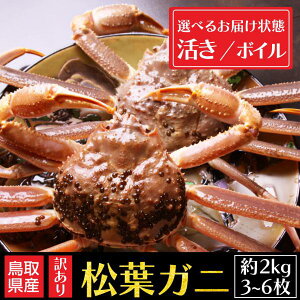 tKj Iׂ  {C 󂠂 2kg 3~6 p YCKj  Jj tI ܂ t  Yn  ikCEj