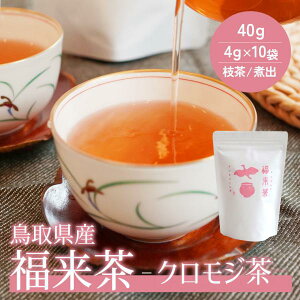 Y 挧Y n[ueB[ NW   (}) t ӂ { eB[obO   Y  ikCEj