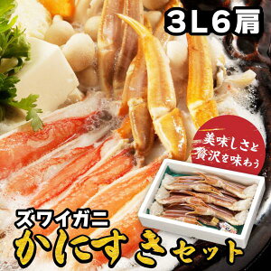 YCKj  6 VA Y  Mtg v[g Jj ɂ o` Yn  Ⓚ ikCEj