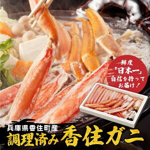 gYCKj  ZKj ZY 1 Mtg v[g  Jj ɂ o` Yn  Y Ⓚ ikCEj