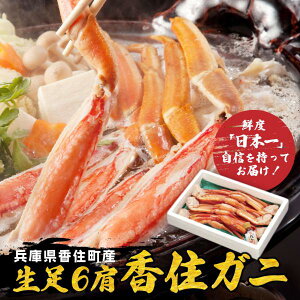 gYCKj ZKj  6 ZY  Mtg v[g Jj ɂ o` Yn  Y Ⓚ ikCEj