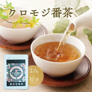 NWԒ 10 Zbg g Β Ԓ NW   N Y n[u y  eB[ obO V v[g i i 