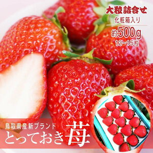 y\ 1{蔭z C`S ƂĂ 嗱l 挧 Vuh L@엿 Yn o^C Ε Mtg Ђ ͕P 嗱  ikCEj